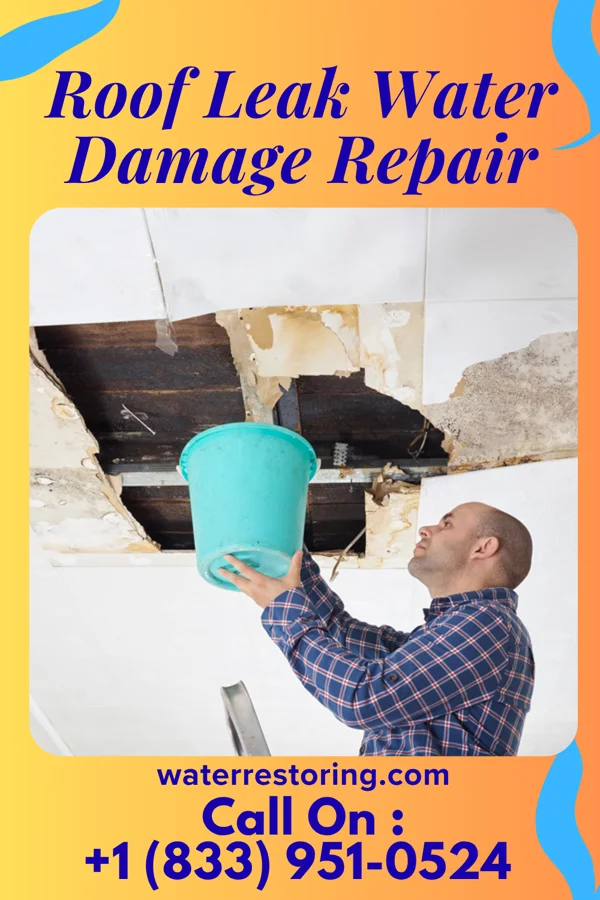 Roof Leak Water Damage Repair in Leakey, TX